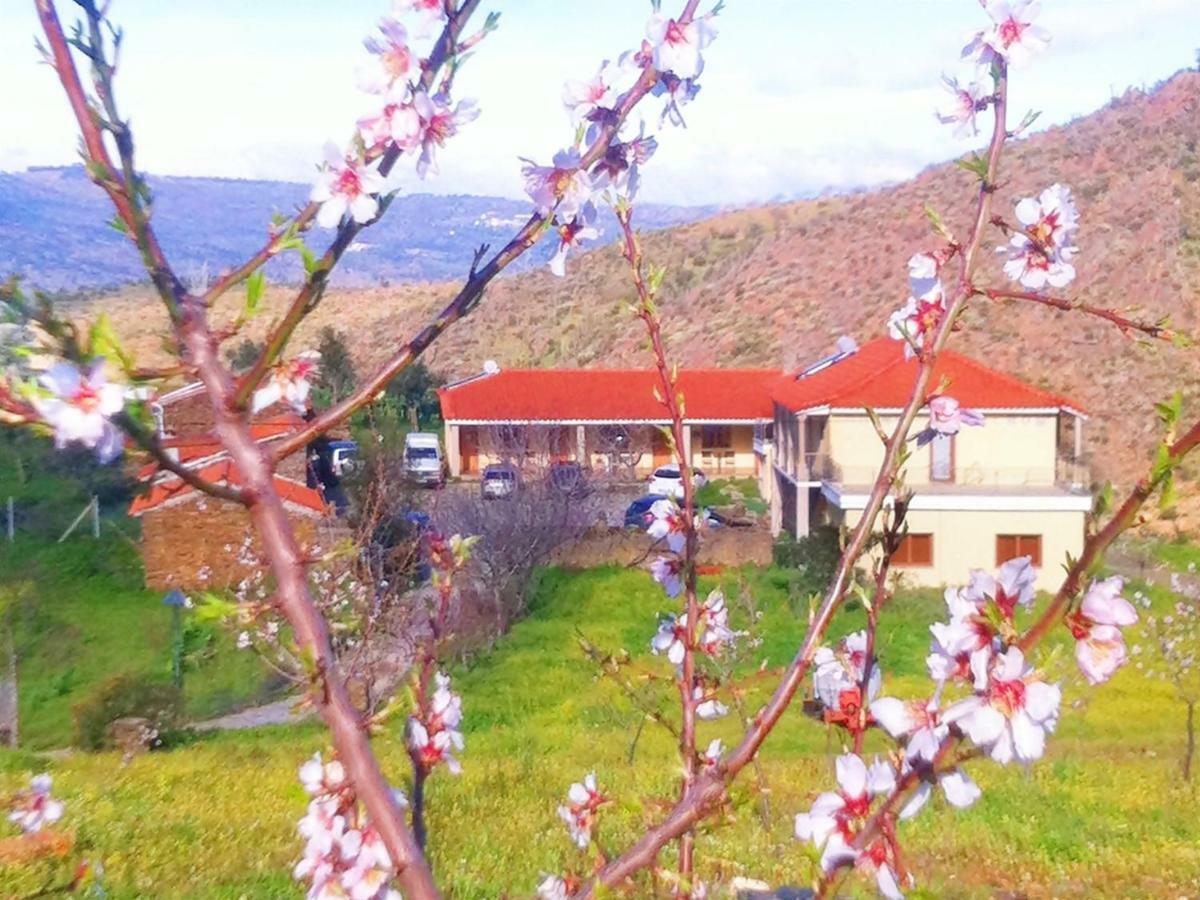 Quintas Do Valbom E Cuco Torre De Moncorvo Exterior foto